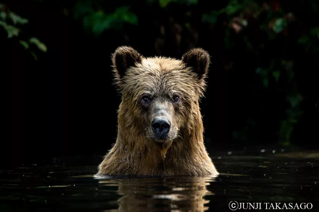 高砂淳二 – KNOW THE SEA PROJECT – 日本財団 海と日本 PROJECT