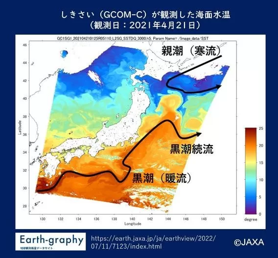 水上陽誠 – KNOW THE SEA PROJECT – 日本財団 海と日本 PROJECT